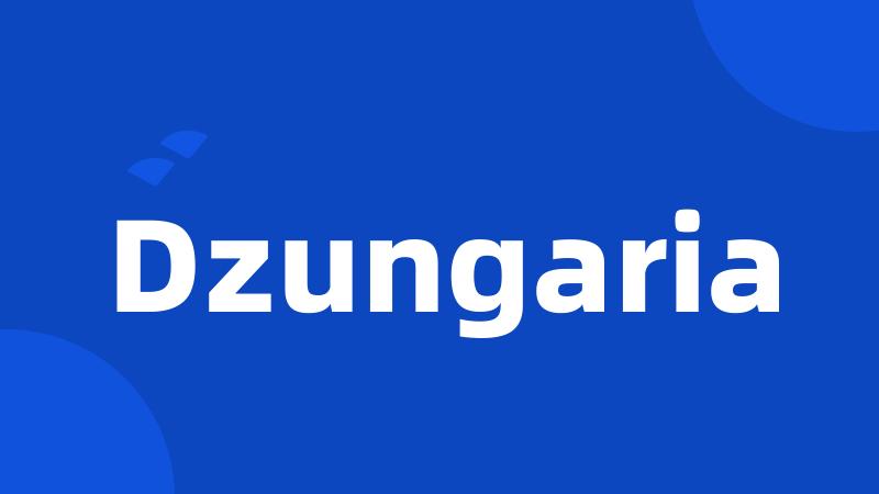 Dzungaria