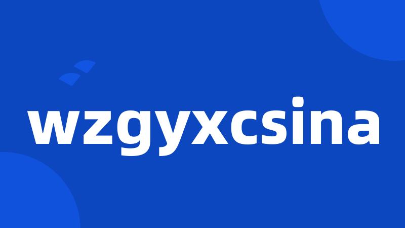 wzgyxcsina