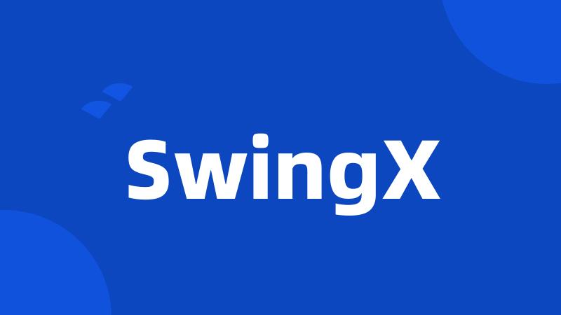 SwingX