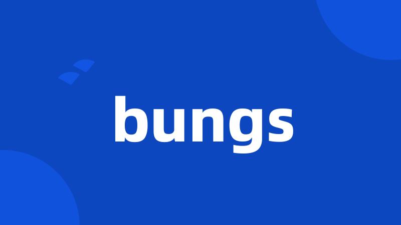 bungs