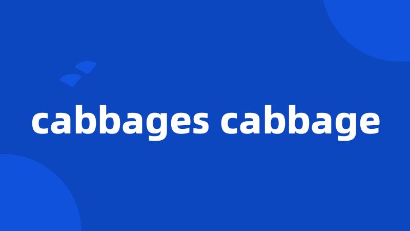 cabbages cabbage