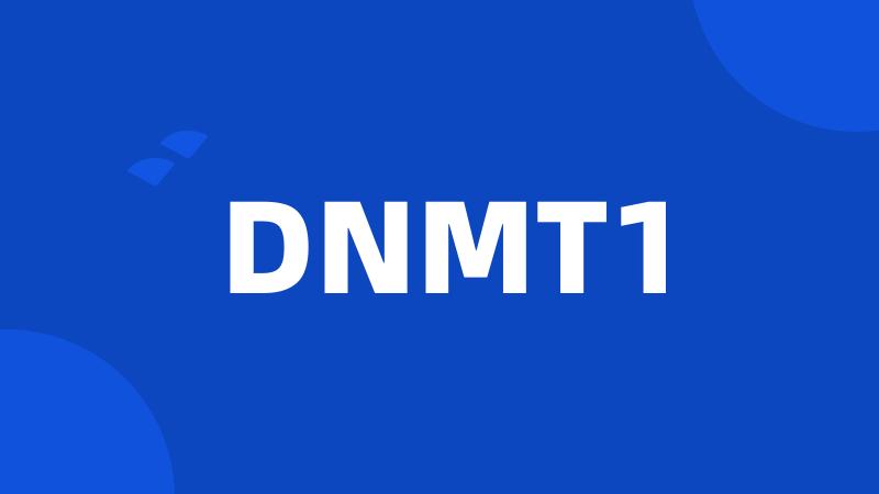 DNMT1