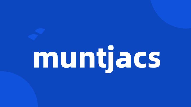 muntjacs