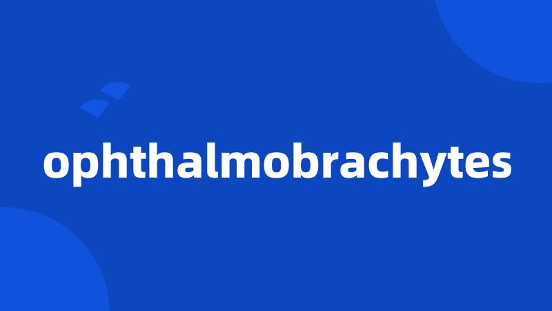 ophthalmobrachytes