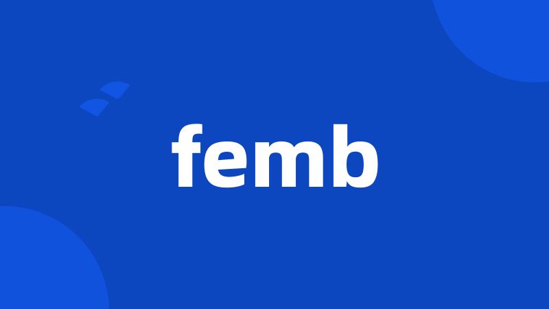 femb