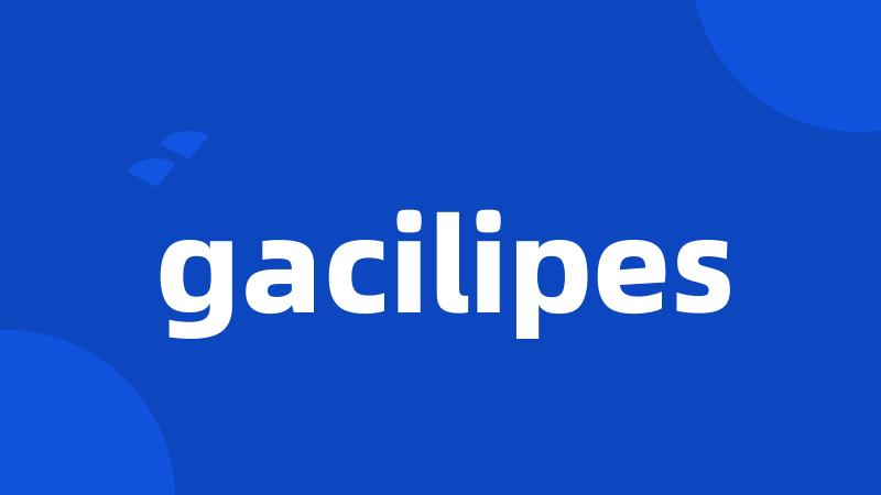 gacilipes