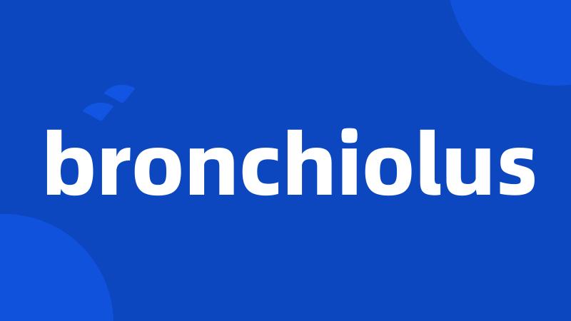 bronchiolus