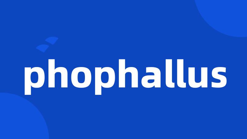 phophallus