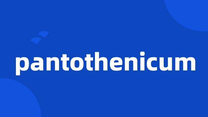 pantothenicum