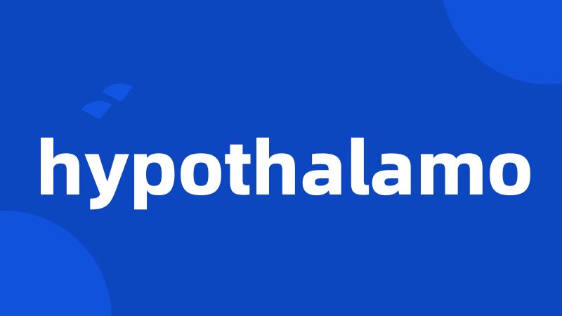 hypothalamo