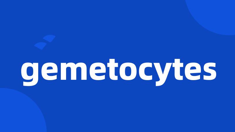 gemetocytes