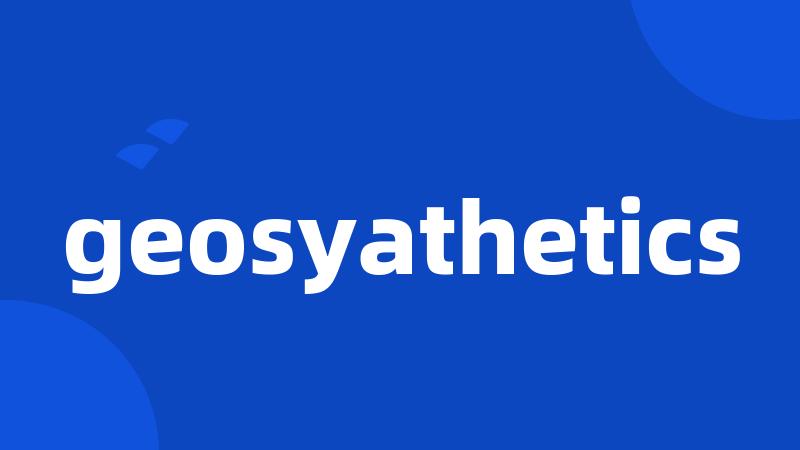 geosyathetics