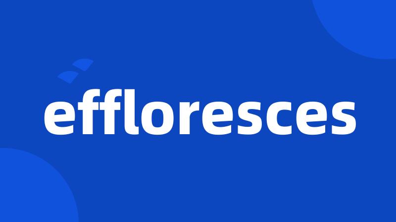 effloresces