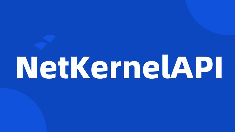 NetKernelAPI