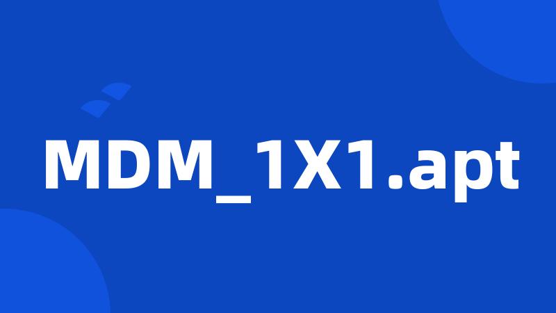 MDM_1X1.apt