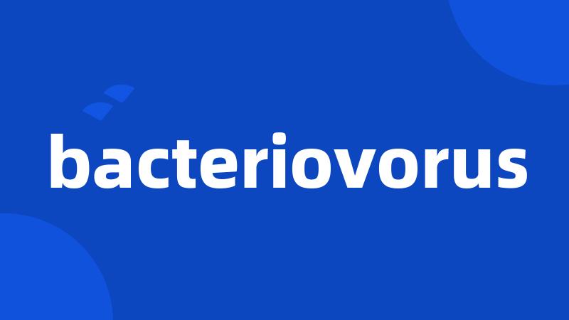 bacteriovorus