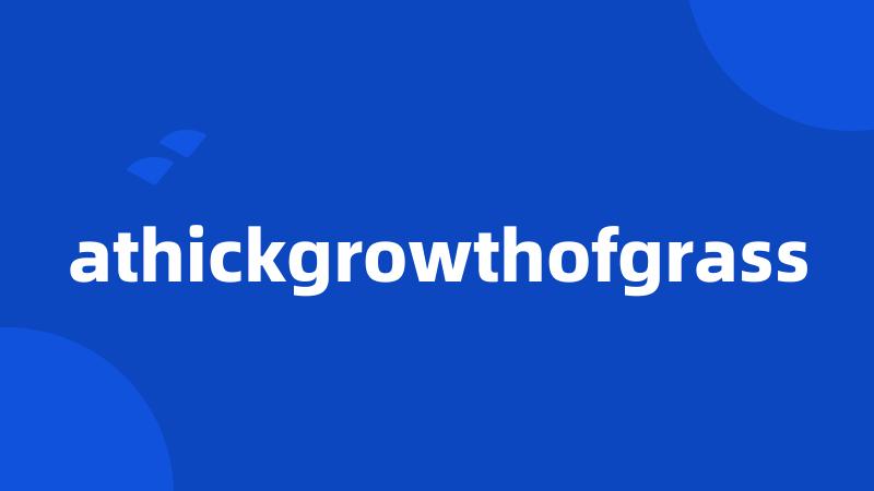 athickgrowthofgrass