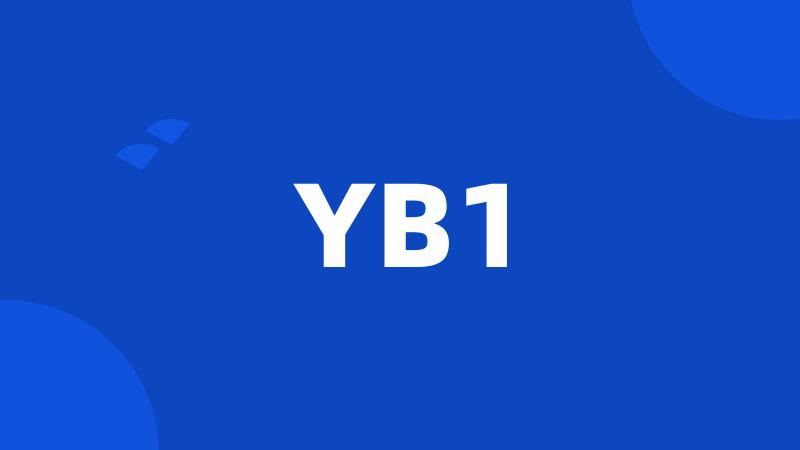 YB1