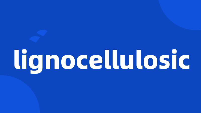 lignocellulosic