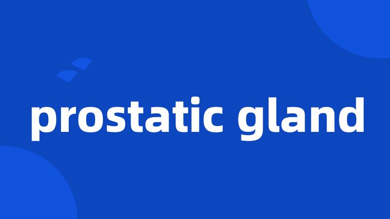 prostatic gland