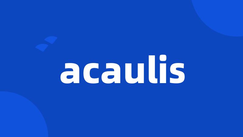 acaulis