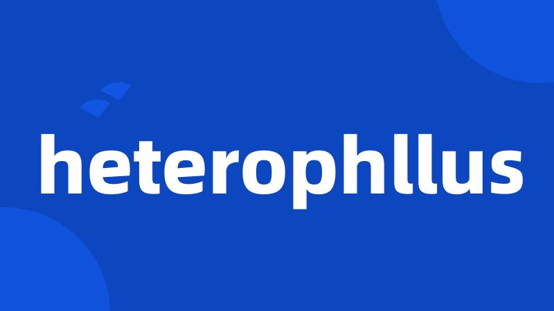 heterophllus