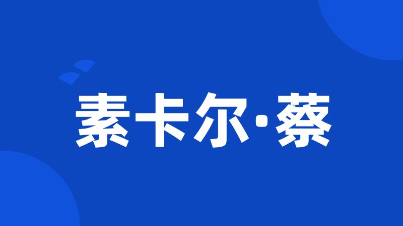 素卡尔·蔡