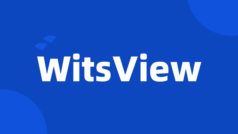 WitsView