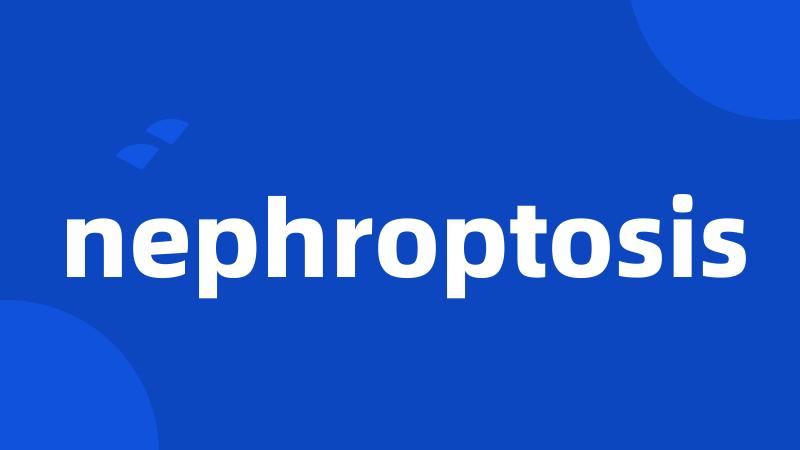 nephroptosis