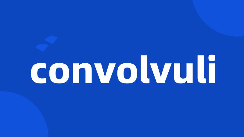 convolvuli