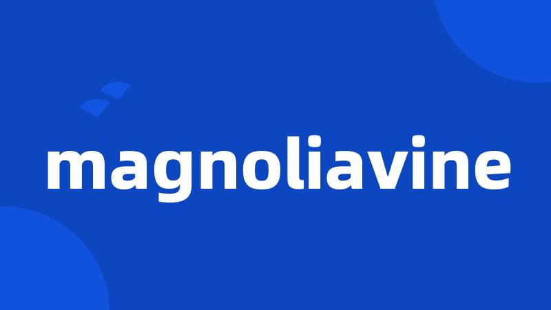 magnoliavine