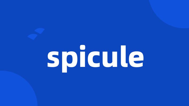 spicule