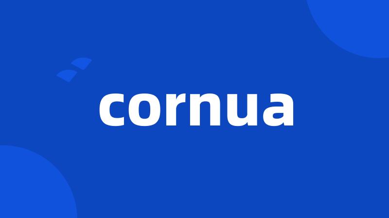 cornua