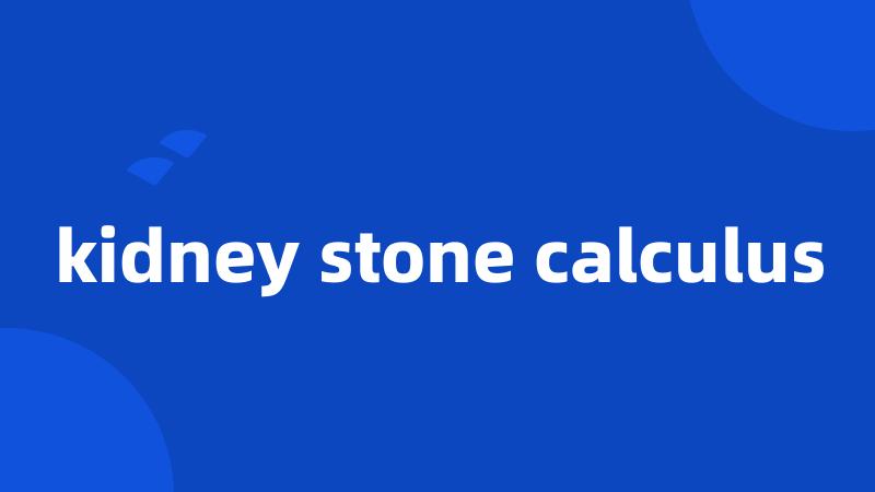 kidney stone calculus