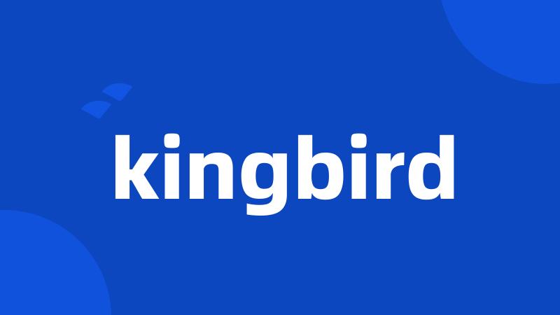 kingbird