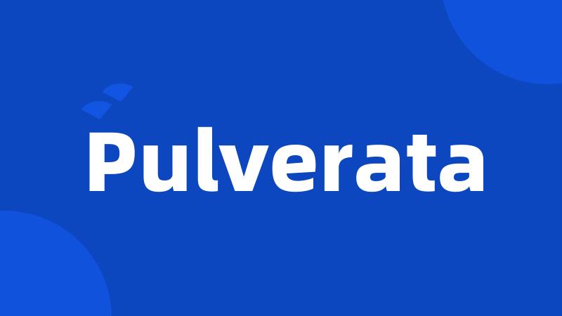 Pulverata