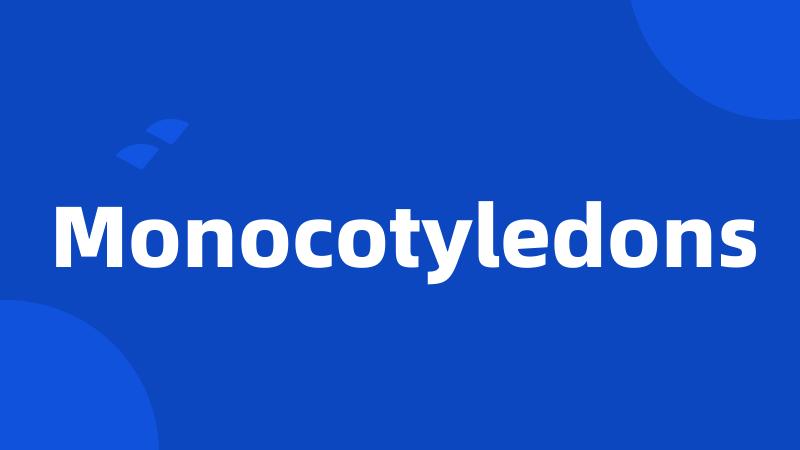 Monocotyledons