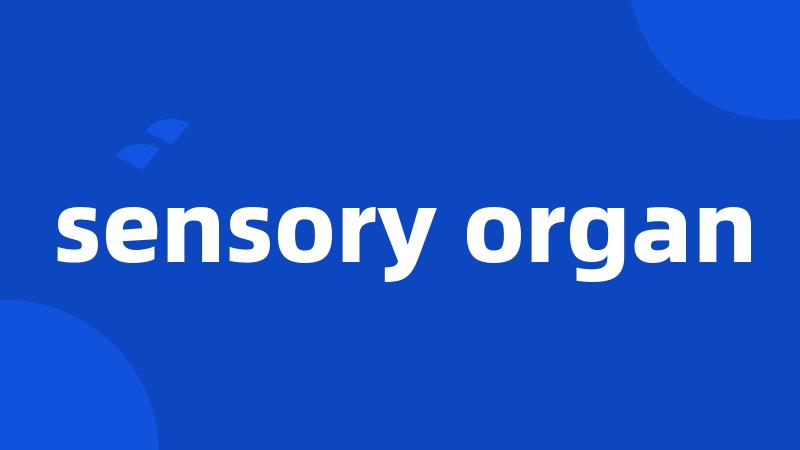 sensory organ