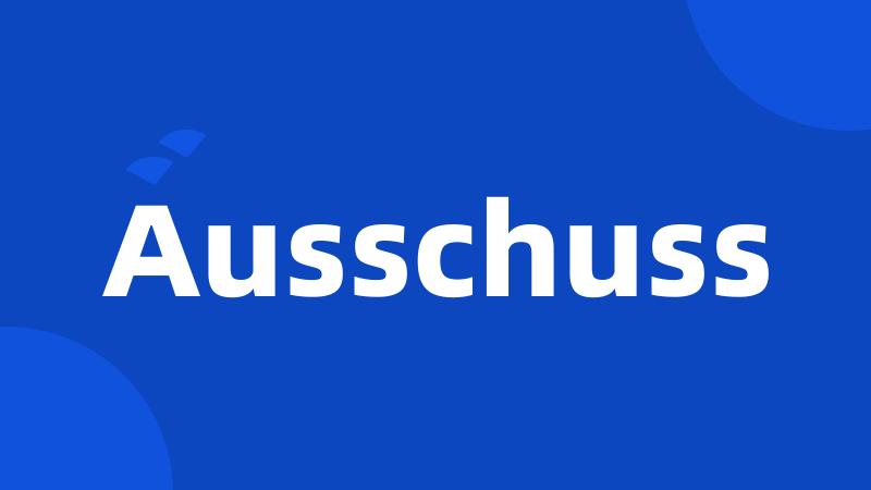 Ausschuss