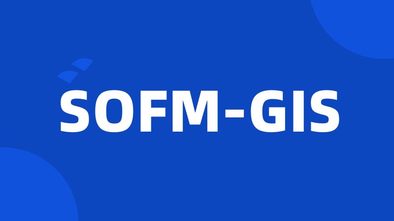 SOFM-GIS