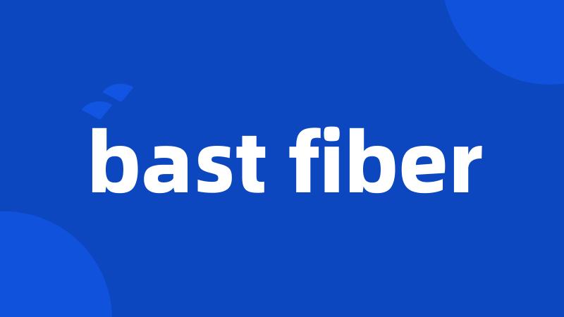 bast fiber