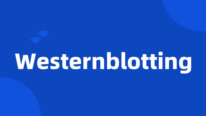 Westernblotting