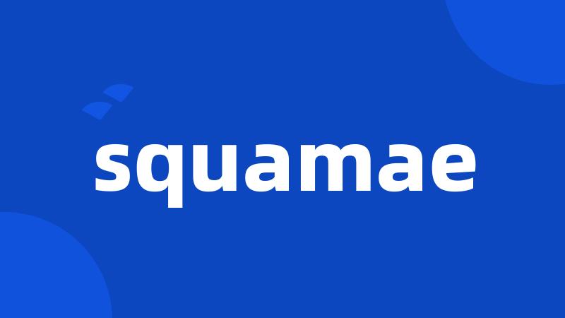 squamae