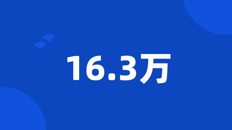 16.3万