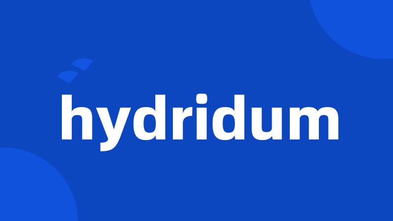 hydridum