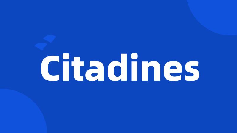 Citadines