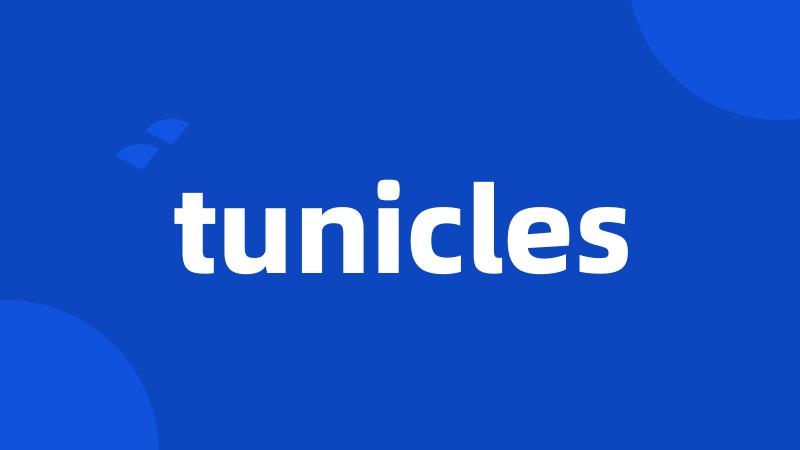 tunicles