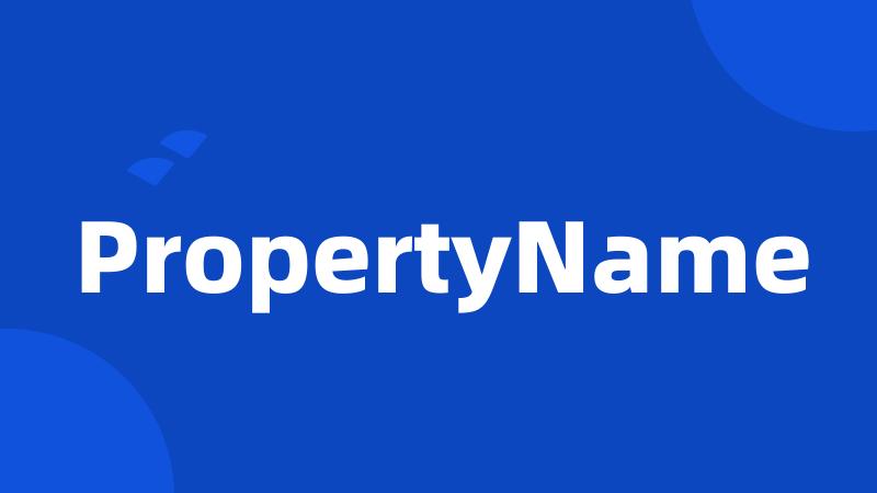 PropertyName