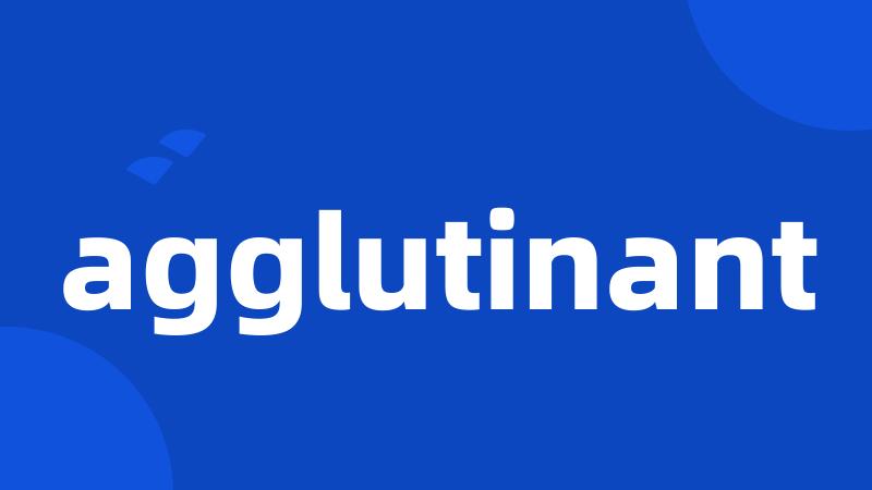 agglutinant