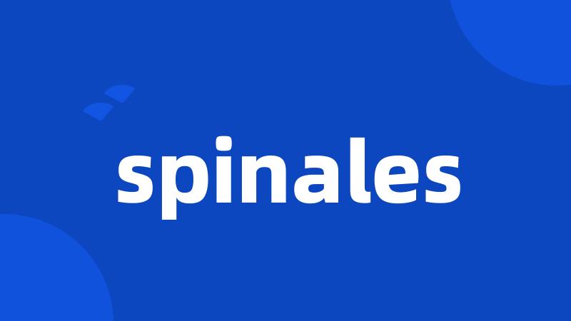 spinales